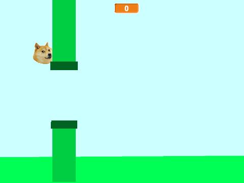 Doge