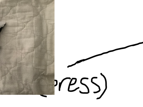 When you press this thing...