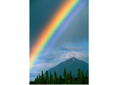 OMG More Rainbows