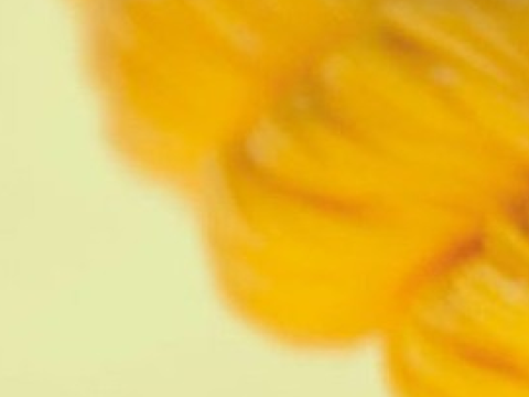 y̷e̷l̷l̷o̷w̷
