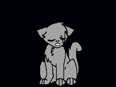 Silverstripe's problem