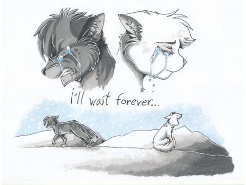Jayfeather x Half Moon~ A Thousand Years