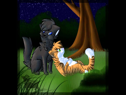 Leafpool x Crowfeather~ When We Were Young