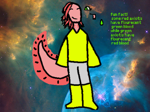 art 4 aderpywillow
