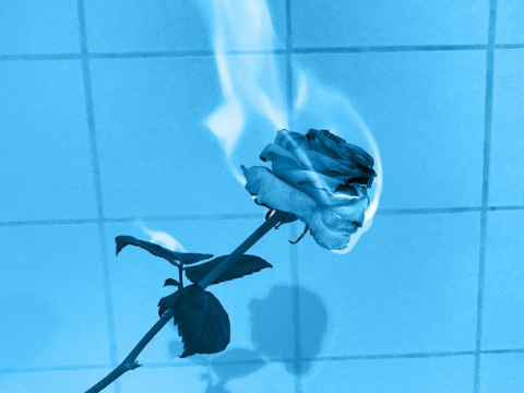 :::::