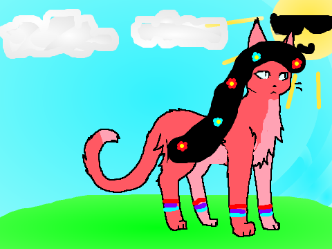 Warrior Cat CCE