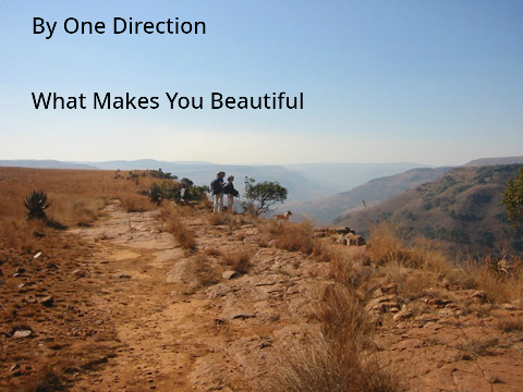 What Makes You Beautiful By One Direction
