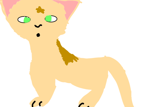 REEDSTAR