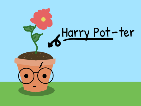 Harry Pot-ter