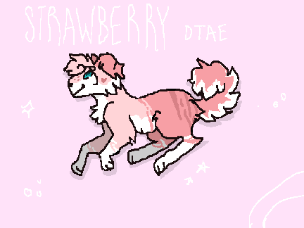  Quick 4K+ DTA Entry! 