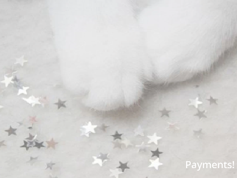 pAymENtS