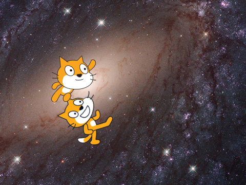 Flying Cats 