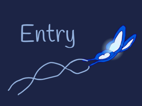 Theme: Fav. Color - Entry
