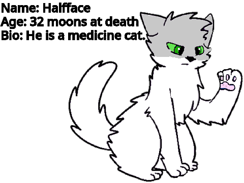 Warrior cat {Halfface}