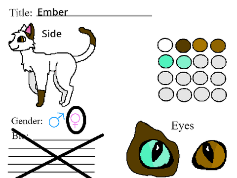 Bio of Ember
