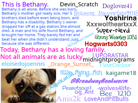 Sign If You Hate Animal Abuse remix  remix remix remix remix remix remix remix remix remix re… remix
