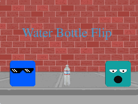 WaTeR bOtTlE fLiP