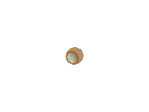 DEMO Features