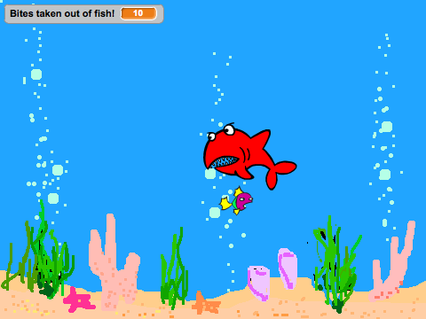 Fish or Shark?