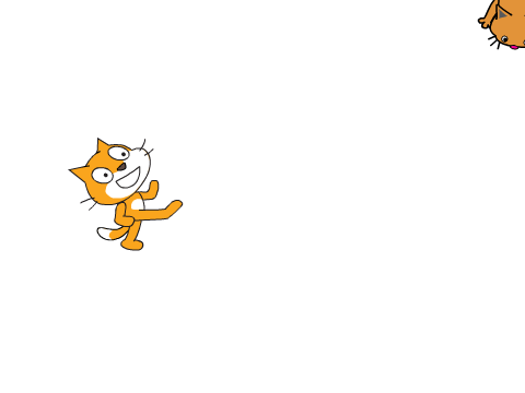 cats :)