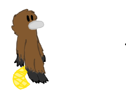 Platypus Facts