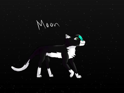 ART REQUESTS ~ Moon for @Moonflower100010