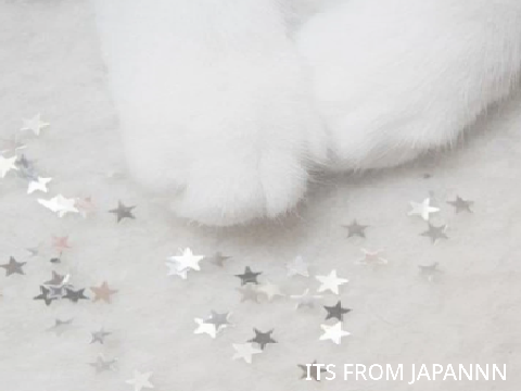 ITS FROM JAPANN