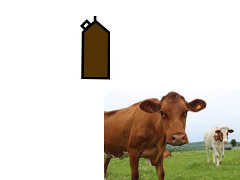 Chocolate milk song....