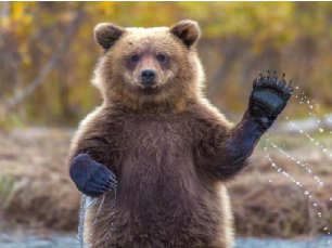 Hey!