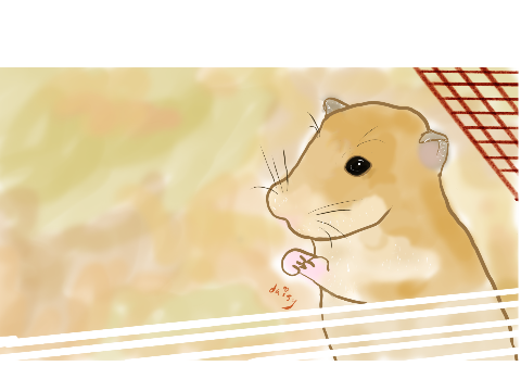 Hamster Comp Entry