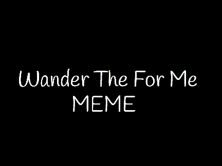 Wander The For Me Bunny (What happened)