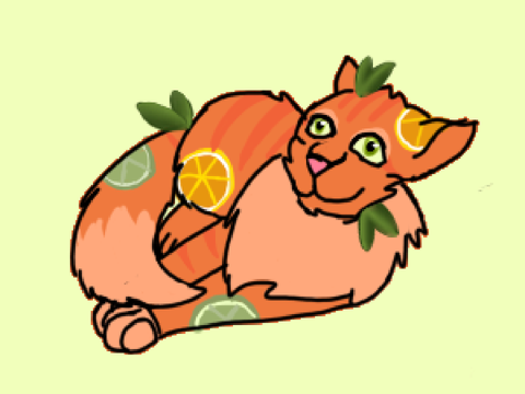 Citrus Kitty