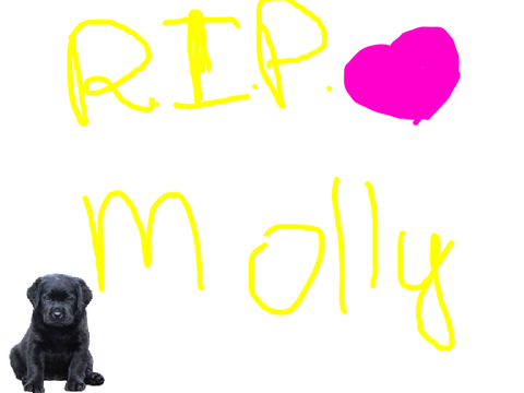 RIP Molly