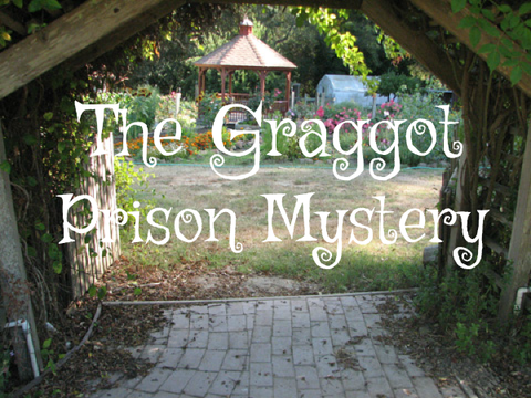 {FIXED} The Graggot Prison Mystery ~ Part 1