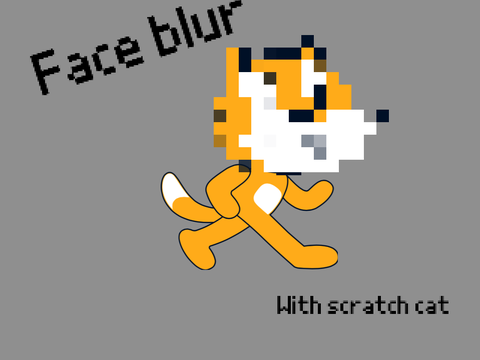  Face Blur