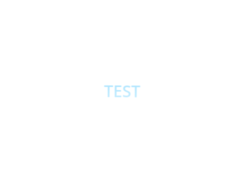 Spin test