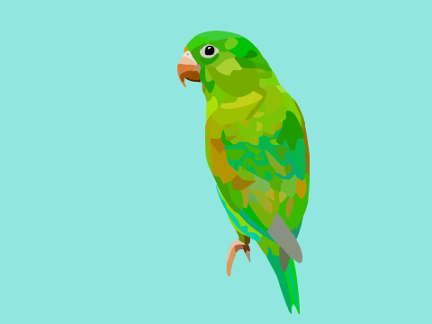 Parrot Blockshade