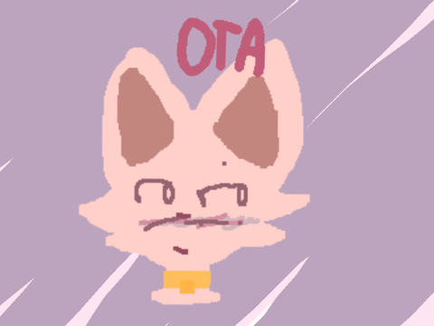 100+ OTA