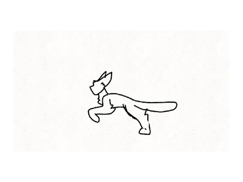Run cycle test