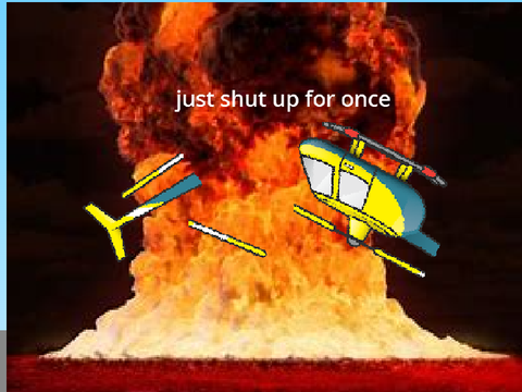 Helicopter Pilot