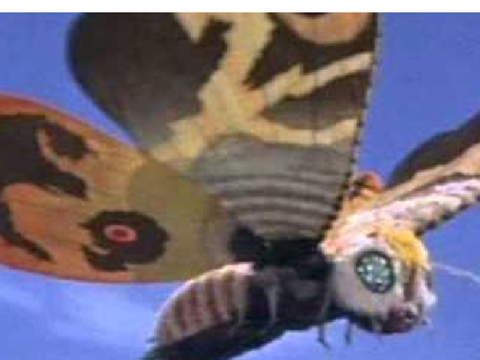 mothra