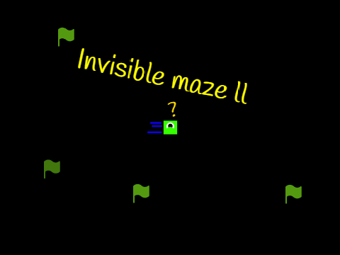 Invisible maze ll