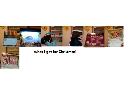 What I got for Christmas!