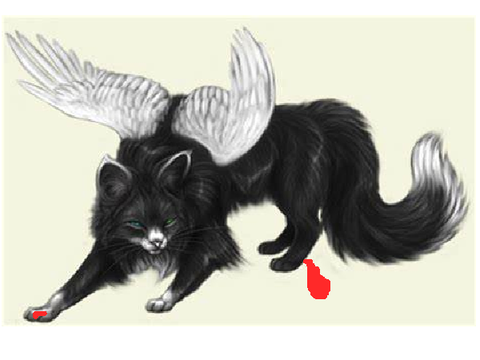 Save a Winged Cat