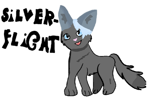 Warrior Cat OC- Silver Flight 