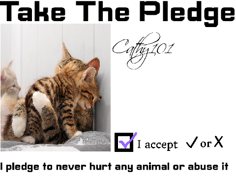 Pledge to Stop Animal Cruelty (REMIX IT) remix