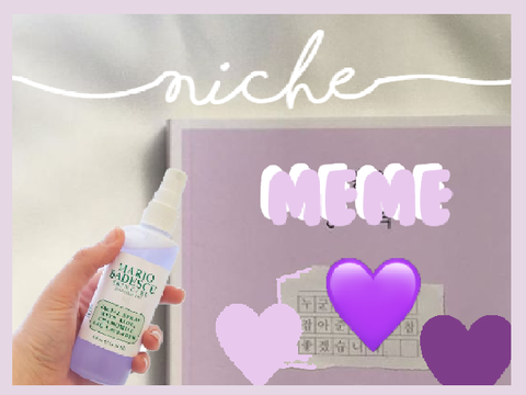 ☂️Another niche meme! Updated!☂️