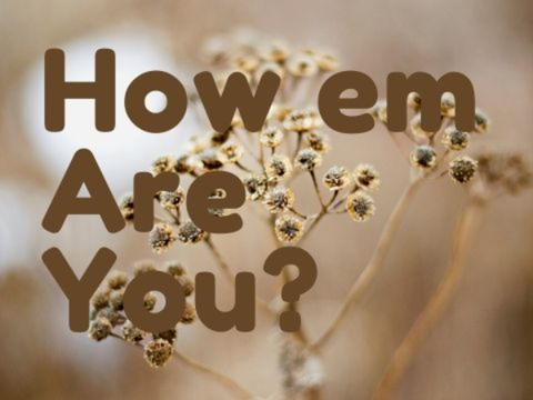 How em Are You?