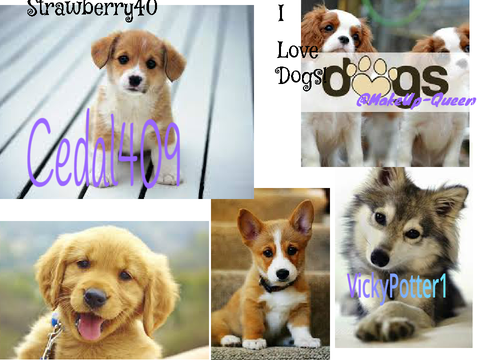 Sign if you LOVE DOGS remix remix remix remix