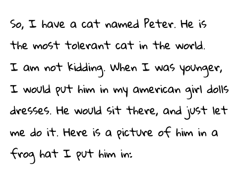 Peter the Cat! A Little Something #2